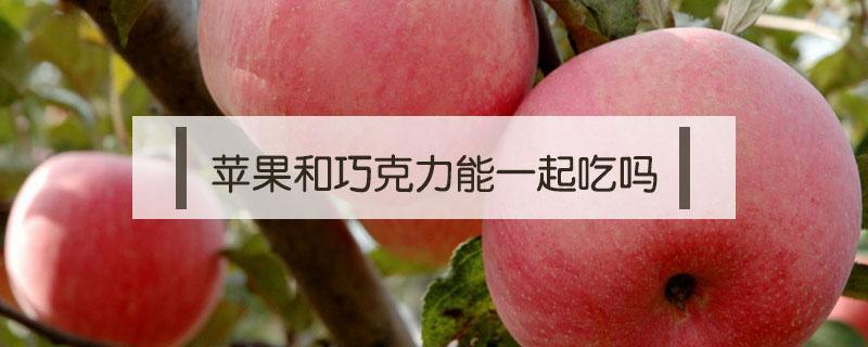 苹果和巧克力能一起吃吗（巧克力和吃苹果一起吃可以吗）