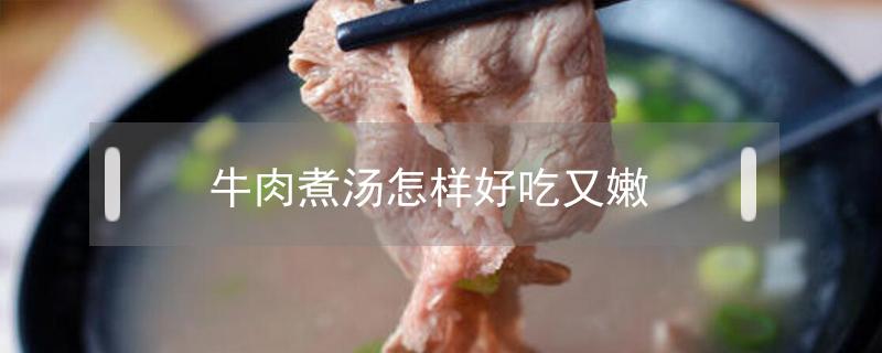 牛肉煮汤怎样好吃又嫩（怎样熬牛肉汤好喝肉又嫩）