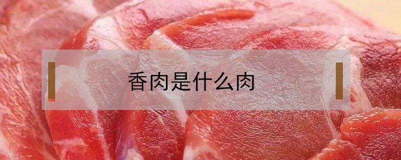 香肉是什么肉（广西香肉是什么肉）