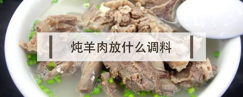 炖羊肉放什么调料（炖羊肉放什么调料好吃怎么炖）