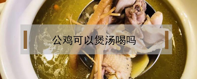 公鸡可以煲汤喝吗 公鸡可以用来煲汤吗