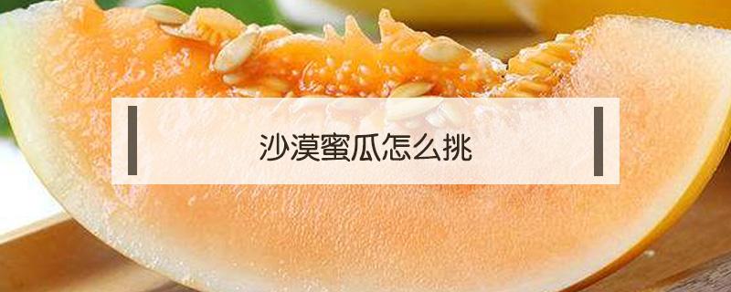 沙漠蜜瓜怎么挑(沙漠蜜瓜是哪里的)