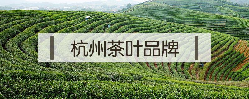 杭州茶叶品牌（杭州茶叶品牌店）
