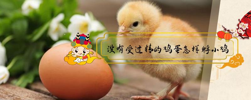 没有受过精的鸡蛋怎样孵小鸡（没受过精的鸡蛋能孵出小鸡吗）