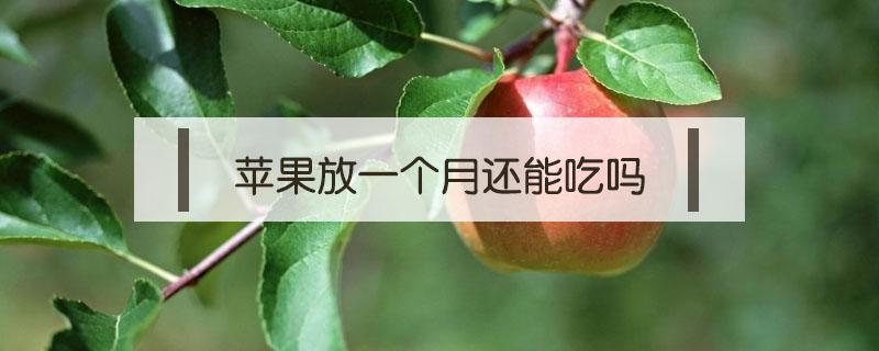 苹果放一个月还能吃吗（苹果放了一个半月还能吃吗）