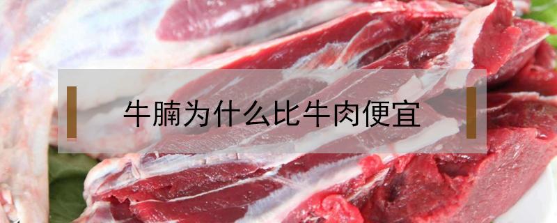 牛腩为什么比牛肉便宜(牛腩更贵还是牛肉更贵)