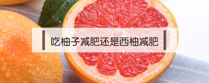吃柚子减肥还是西柚减肥 减肥吃西柚和柚子哪个好