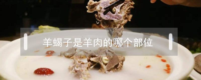 羊蝎子是羊肉的哪个部位（羊蝎子肉在羊的哪个部位）