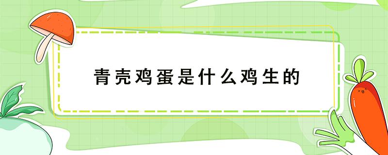 青壳鸡蛋是什么鸡生的（有青壳的鸡蛋吗）