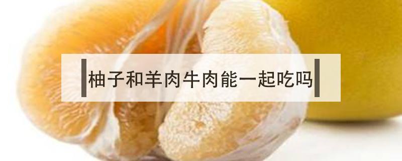 柚子和羊肉牛肉能一起吃吗（牛羊肉可以和柚子一起吃吗）