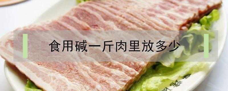 食用碱一斤肉里放多少 食用碱放在肉里面的比例