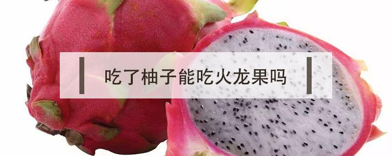 吃了柚子能吃火龙果吗 吃完柚子可以吃苹果和火龙果吗
