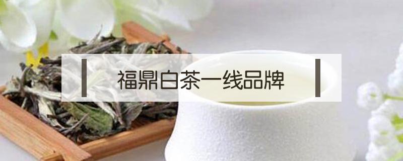 福鼎白茶一线品牌 福鼎白茶知名品牌