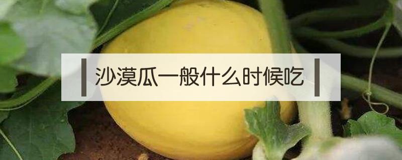 沙漠瓜一般什么时候吃（沙漠瓜主销时间）