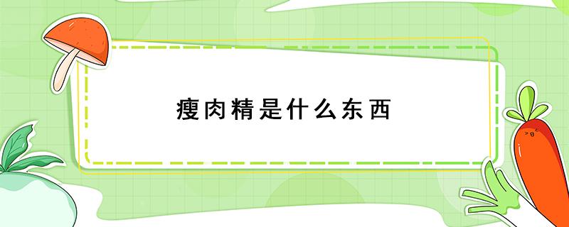 瘦肉精是什么东西 瘦肉精是什么东西,有什么用途