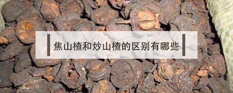焦山楂和炒山楂的区别有哪些 焦山楂与炒山楂一样吗