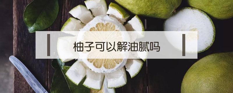 柚子可以解油腻吗（吃了油腻的东西吃柚子可以解吗）