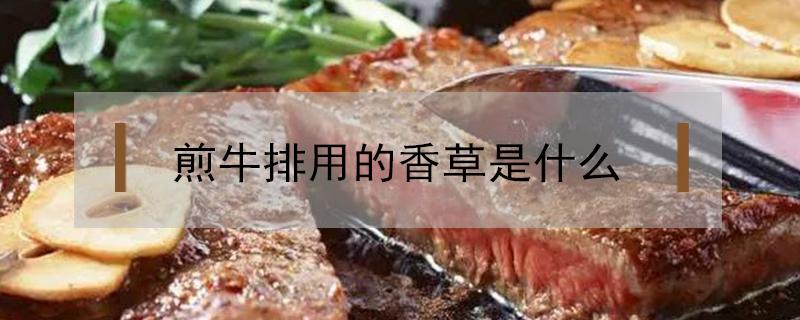 煎牛排用的香草是什么（煎牛排用的香草是什么百里香）