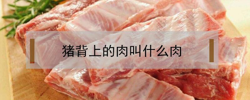 猪背上的肉叫什么肉（猪背上的肉是什么肉）