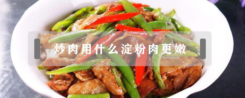 炒肉用什么淀粉肉更嫩（炒肉用什么淀粉肉更嫩玉米粉还是土豆粉）