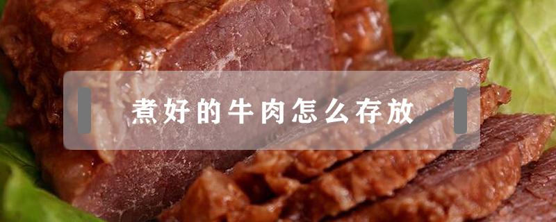 煮好的牛肉怎么存放