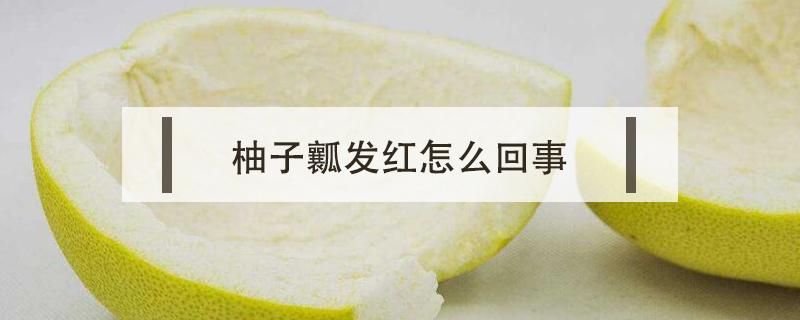 柚子瓤发红怎么回事 柚子瓤变红