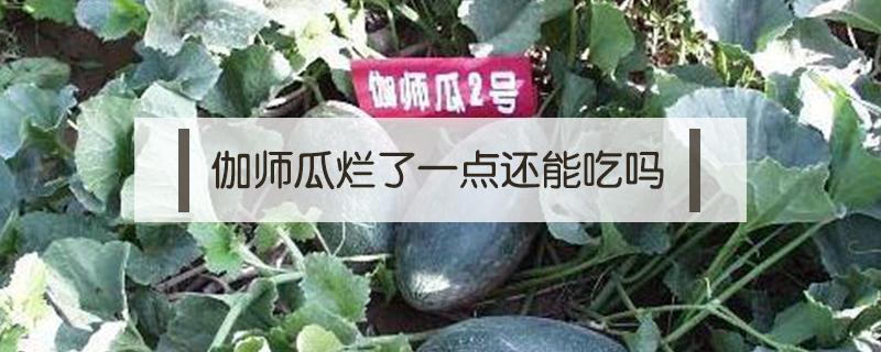 伽师瓜烂了一点还能吃吗 伽师瓜能放多久