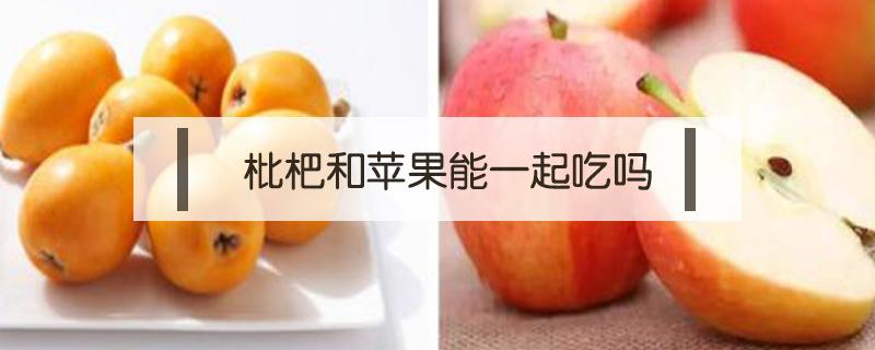 枇杷和苹果能一起吃吗 枇杷不能跟什么水果一起吃