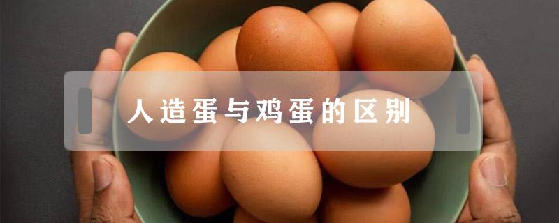 人造蛋与鸡蛋的区别（人造蛋与鸡蛋的区别解说）