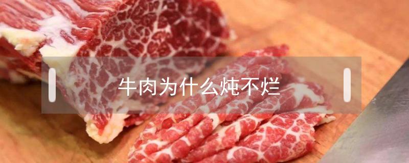 牛肉为什么炖不烂