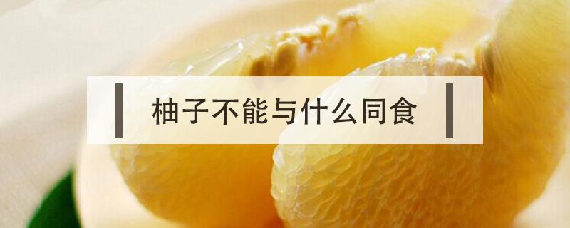 柚子不能与什么同食