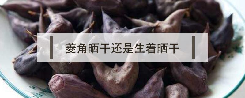 菱角晒干还是生着晒干 菱角怎么晒干