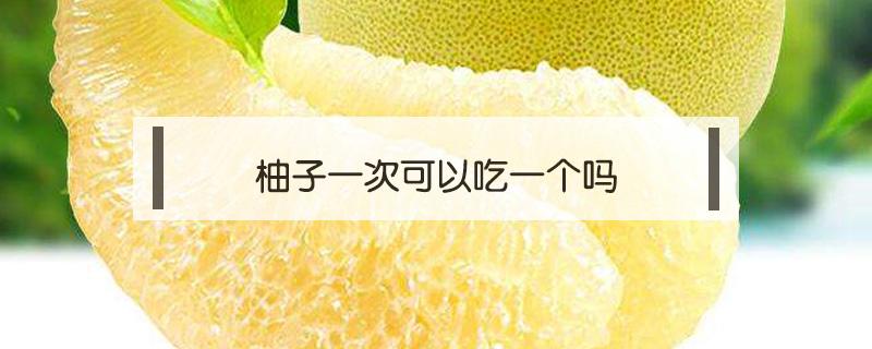 柚子一次可以吃一个吗 柚子一次能吃一个吗