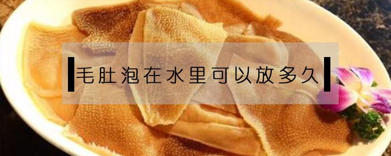毛肚泡在水里可以放多久 毛肚泡水里可以放几天