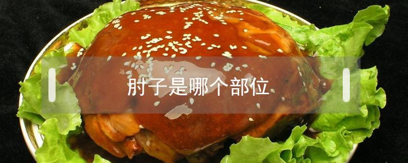 肘子是哪个部位 肘子是哪个部位图解