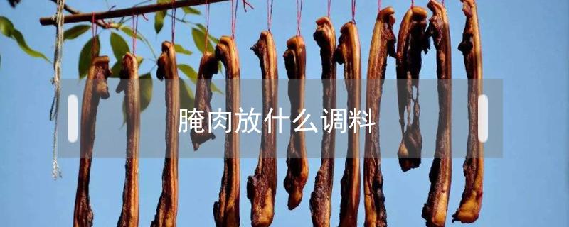 腌肉放什么调料