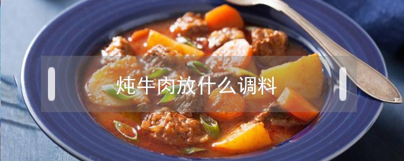 炖牛肉放什么调料（炖牛肉放什么调料最香）