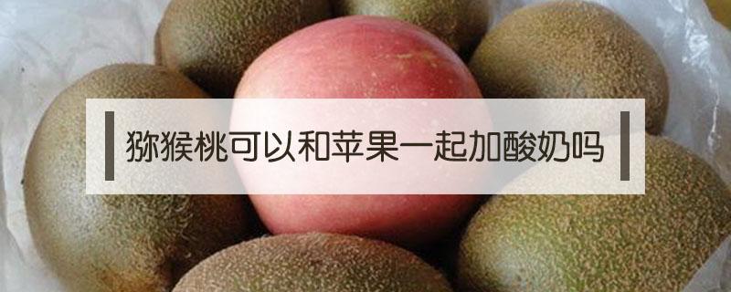 猕猴桃可以和苹果一起加酸奶吗（猕猴桃可以和苹果一起加酸奶吗）