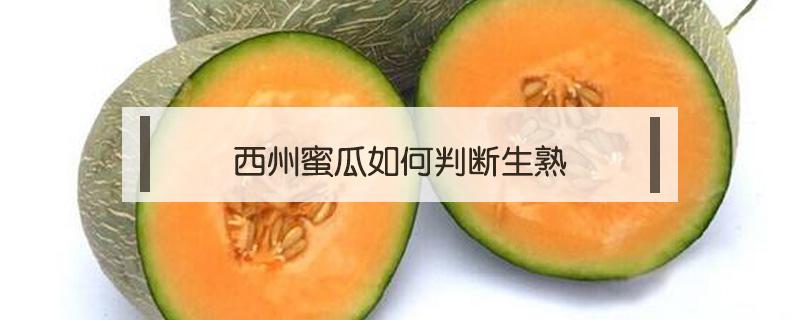 西州蜜瓜如何判断生熟 西州蜜瓜成熟期