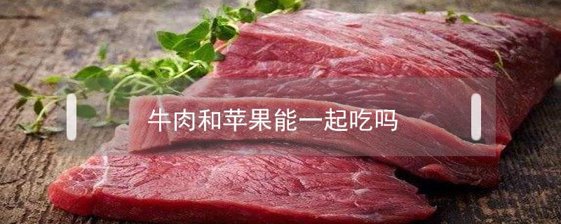 牛肉和苹果能一起吃吗（苹果能和牛肉一起吃吗?）