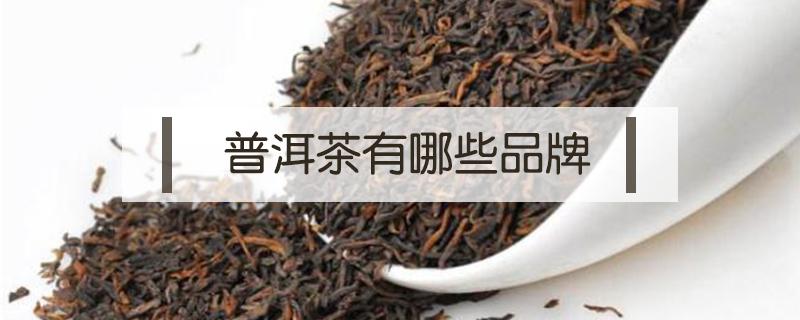 普洱茶有哪些品牌（普洱茶有哪些品牌名称）