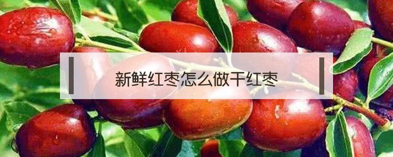 新鲜红枣怎么做干红枣 新鲜红枣怎么制作干枣