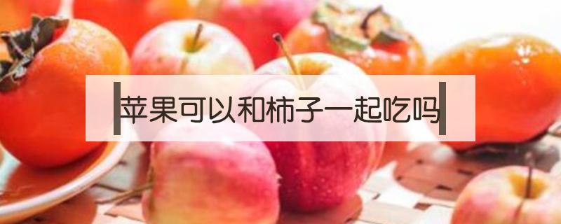 苹果可以和柿子一起吃吗（苹果可以和柿子一起吃吗?）