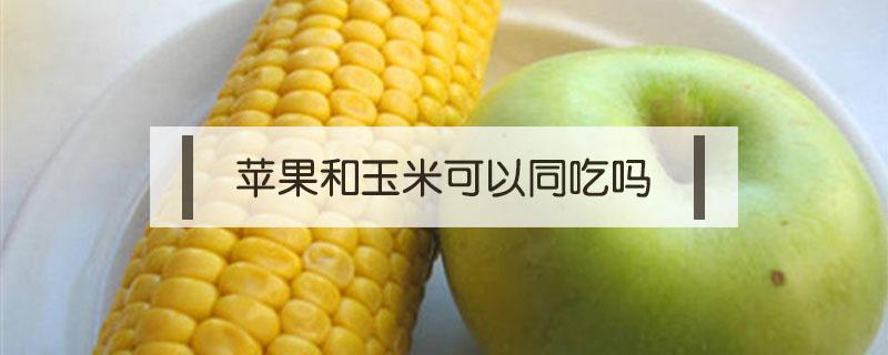 苹果和玉米可以同吃吗 苹果和玉米可以同吃吗?