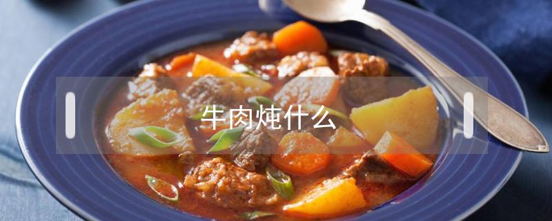 牛肉炖什么（牛肉炖什么汤给小孩吃最好）