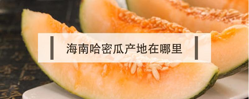 海南哈密瓜产地在哪里（哈密瓜是海南的特产吗）
