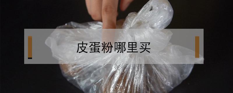 皮蛋粉哪里买（市场上哪里有皮蛋粉卖?）