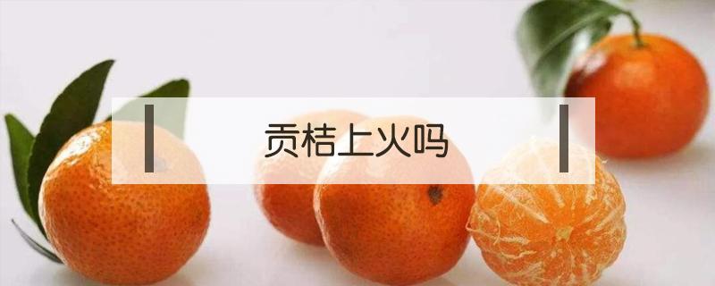 贡桔上火吗(贡桔下火吗)