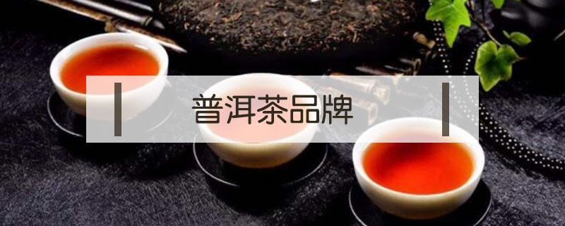 普洱茶品牌 普洱茶品牌排行榜