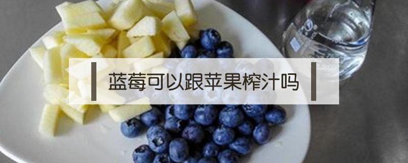 蓝莓可以跟苹果榨汁吗（蓝莓可以和苹果榨汁吗）